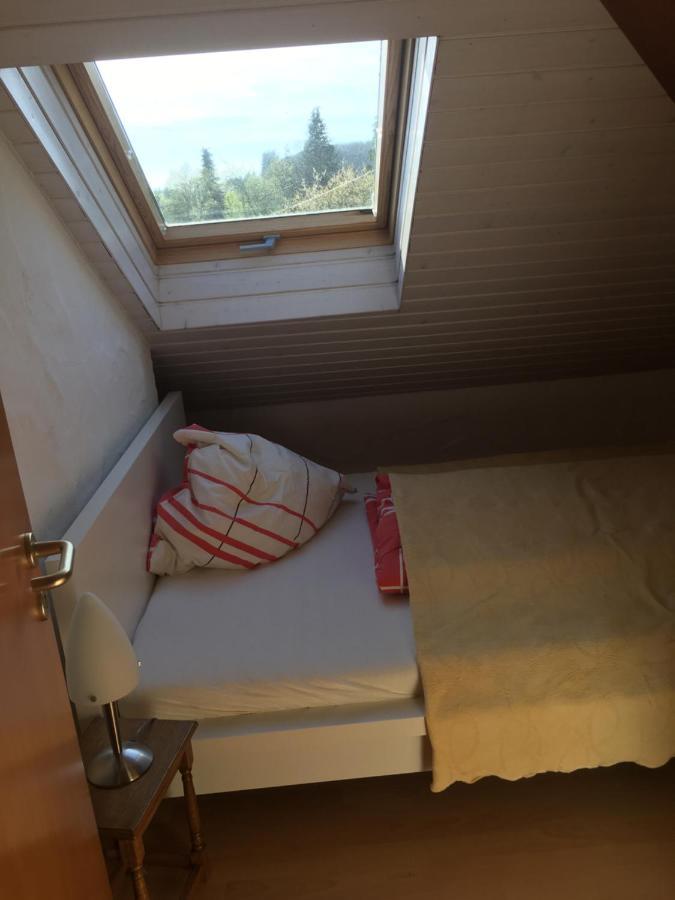 Ferienwohnung Nett Adenau Dış mekan fotoğraf